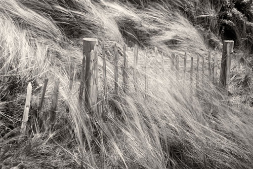 RGB.vn_photography_phong_canh_5