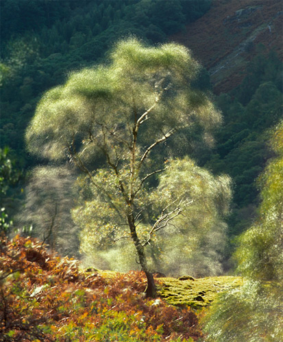 RGB.vn_photography_phong_canh_6 RGB.vn | Chụp rung động trong ảnh phong cảnh