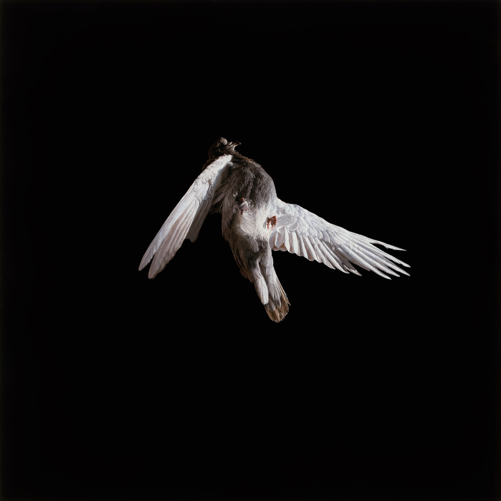 RGB_vn_Jeremy-Geddes_#14