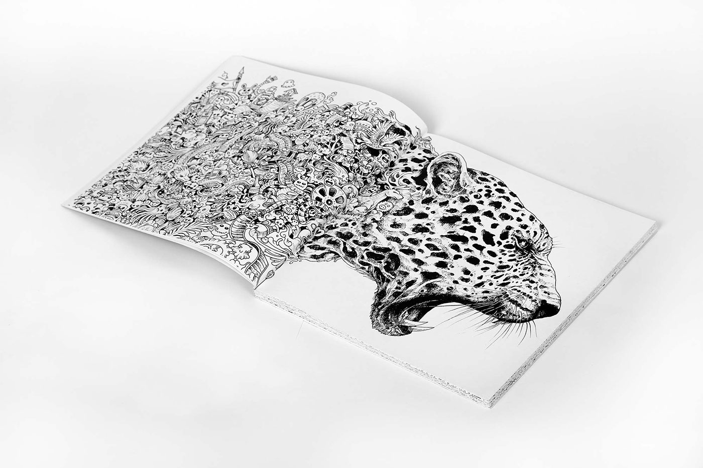 RGB.vn_Kerby Rosanes