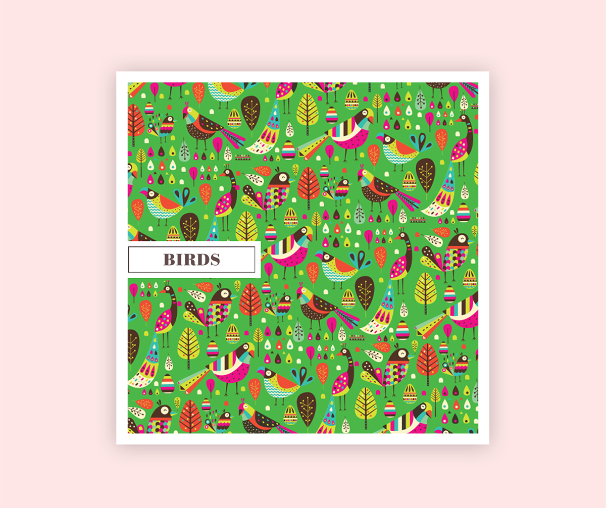 RGB.vn_Shaivalini Kumar