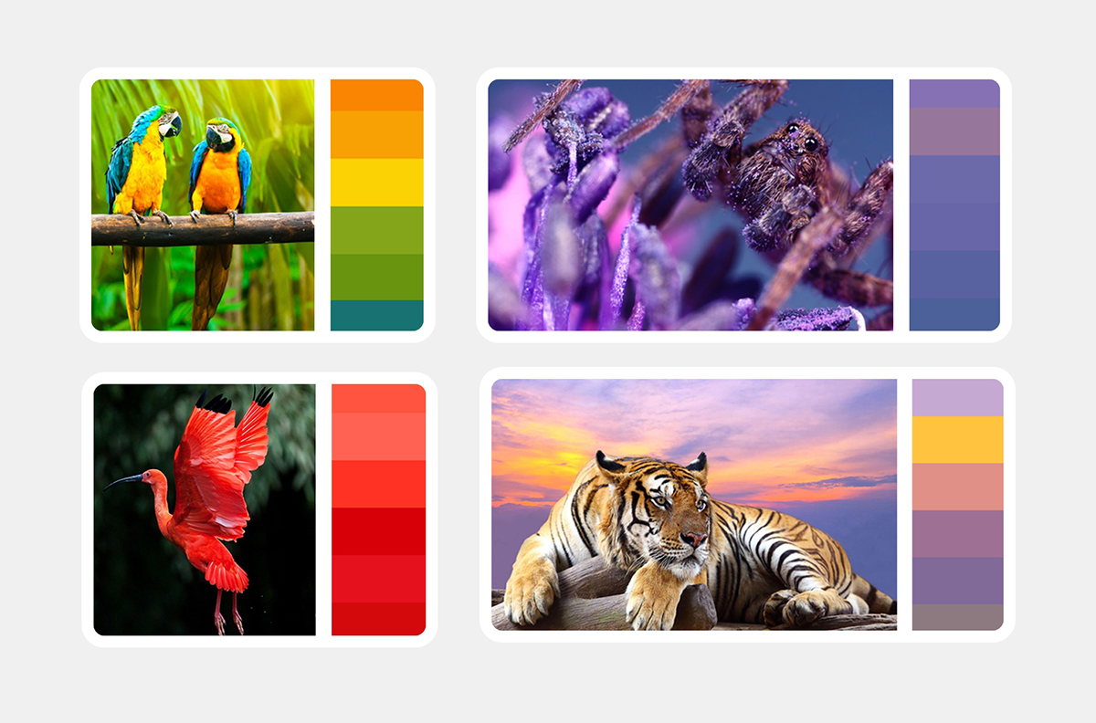 rgb.vn_qua-trinh-lam-nen-bo-nhan-dien-thuong-hieu-vinpearl-safari-zoo_04