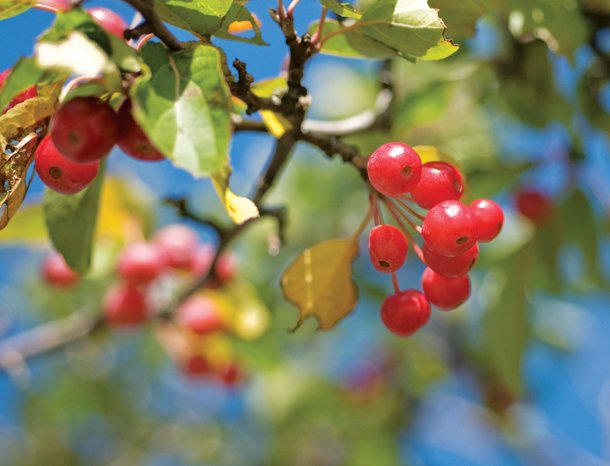 rgb.vn_hoc-chup-anh-bai-huong-dan-tong-quat-tu-A-Z-cua-national-geographic_22