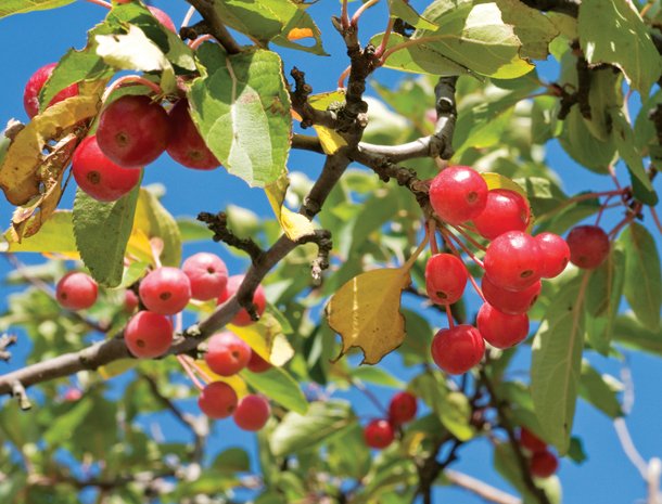 rgb.vn_hoc-chup-anh-bai-huong-dan-tong-quat-tu-A-Z-cua-national-geographic_23