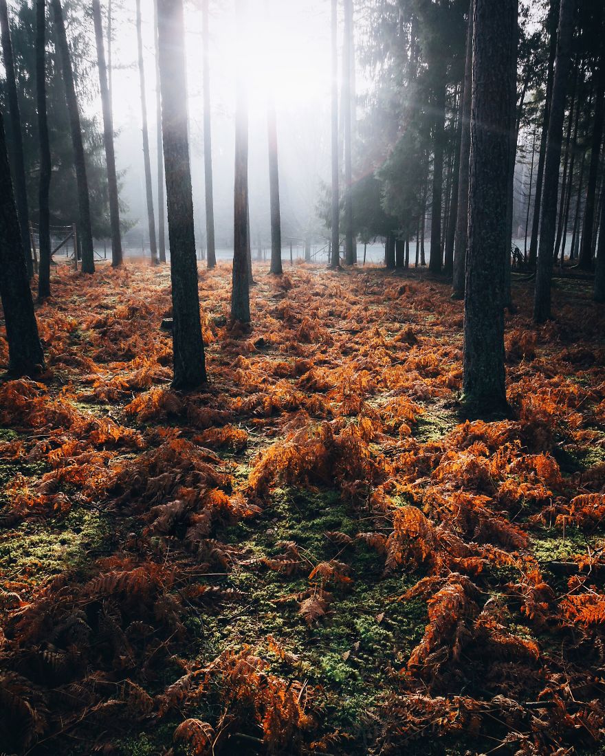 xach-ba-lo-len-va-di-24