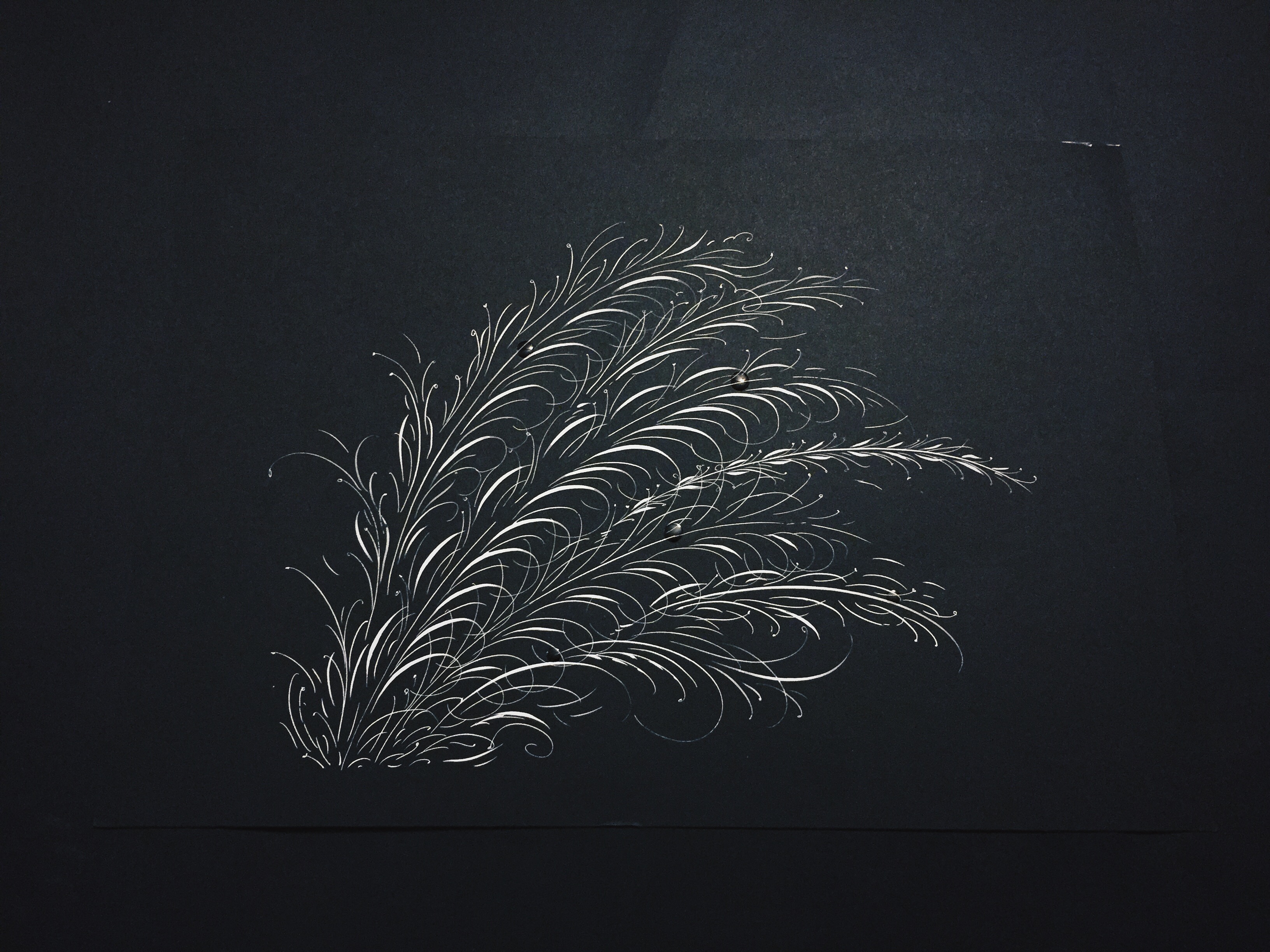 Processed with VSCOcam with hb2 preset