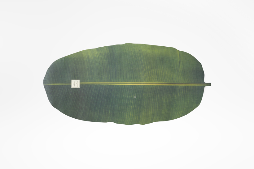 rgb.vn_camhungpackaging_13