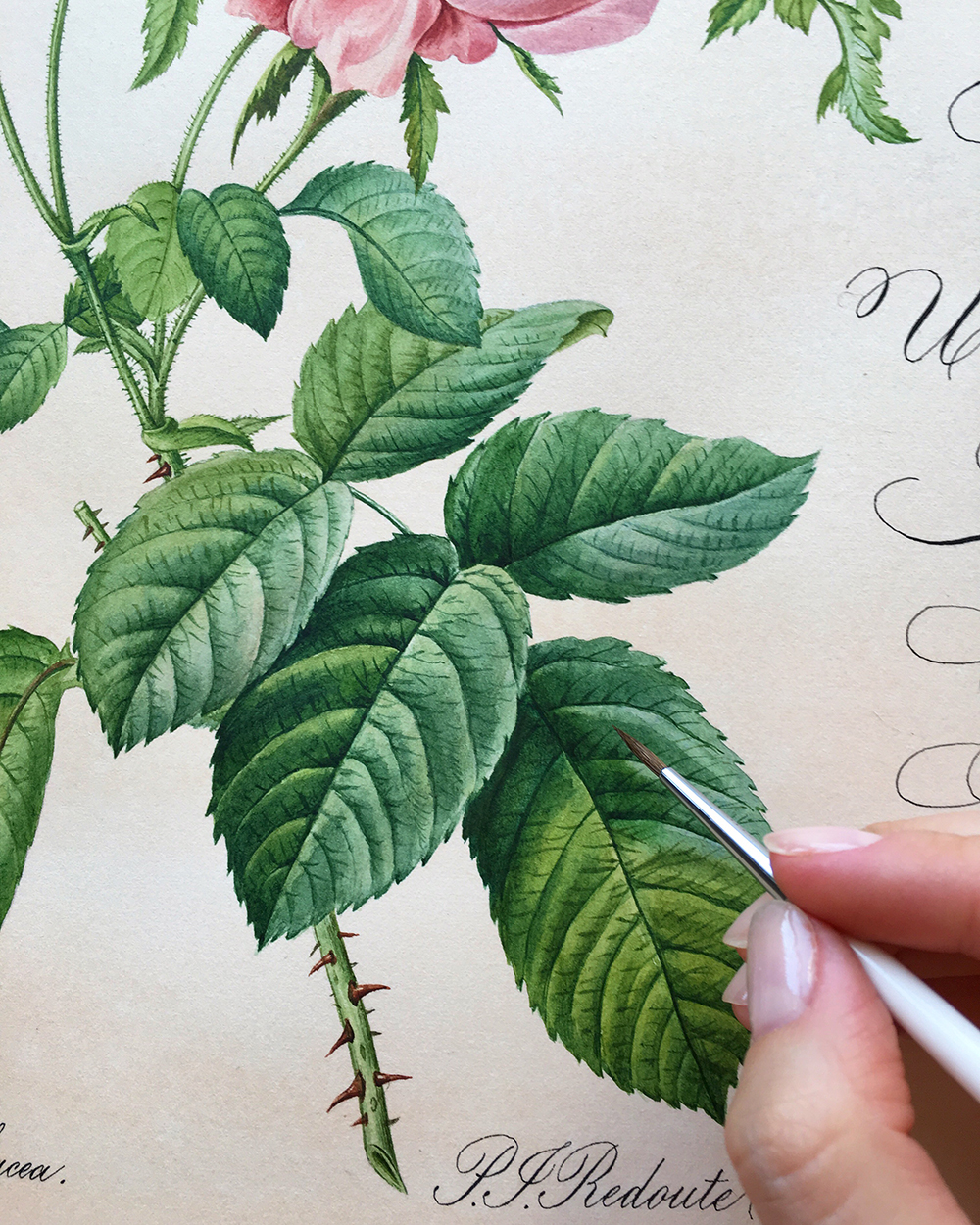 My graduation work for Calligraphy school