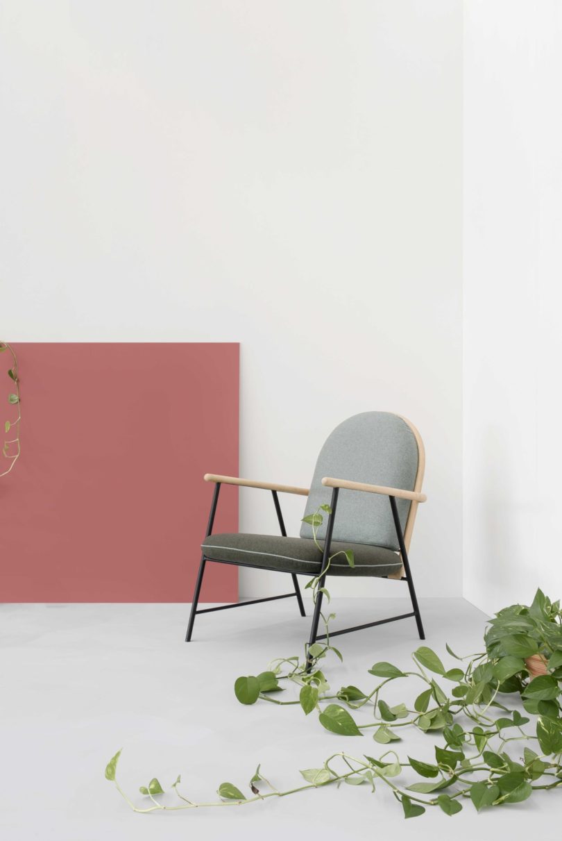 rgb.vn_ayacollection_07