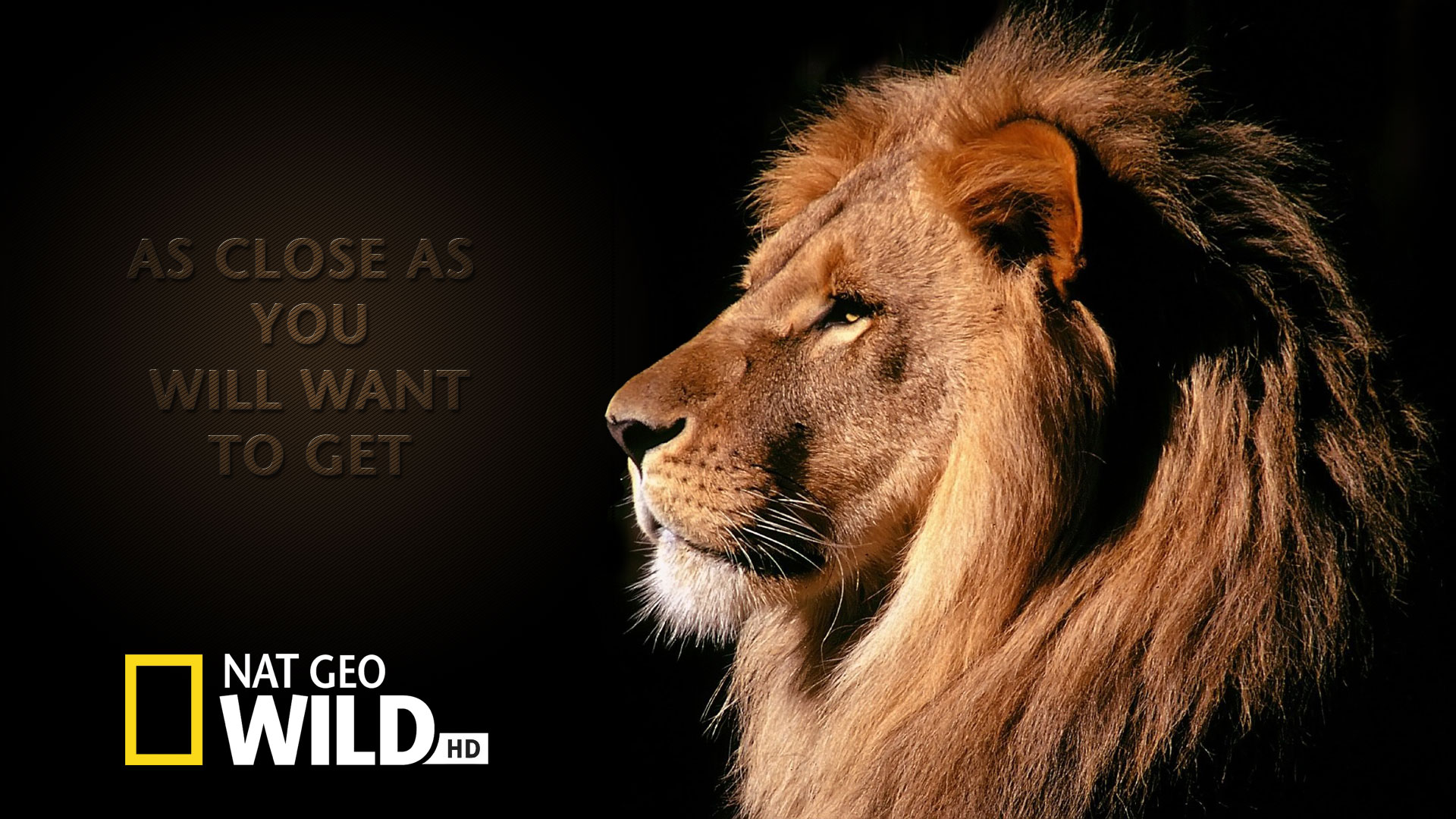 arena-multimedia-brand-photography-3