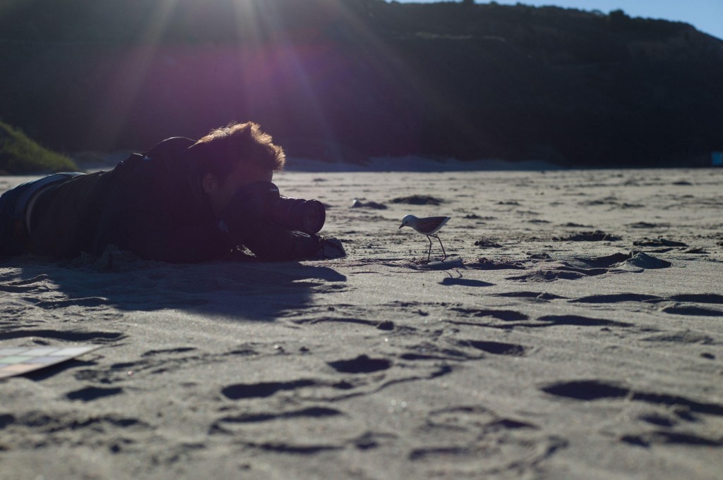 rgb_creative_pipertrenbobien_1