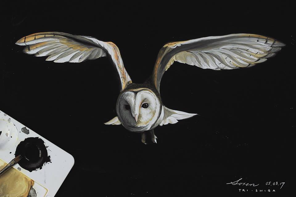 rgb_creative_trishiba_1